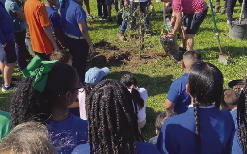 Chalmette Elementary 5th graders partnered with the Meraux Foundation to plant 16 trees as part of their “Leave Your Legacy” project.