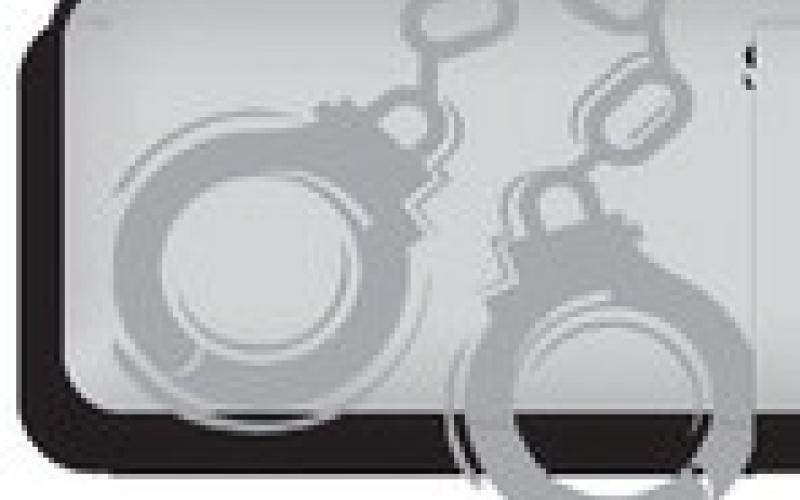 Alt Text for Image