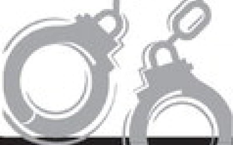 Alt Text for Image