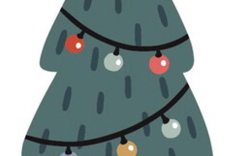 Christmas Tree Care &amp; Selection