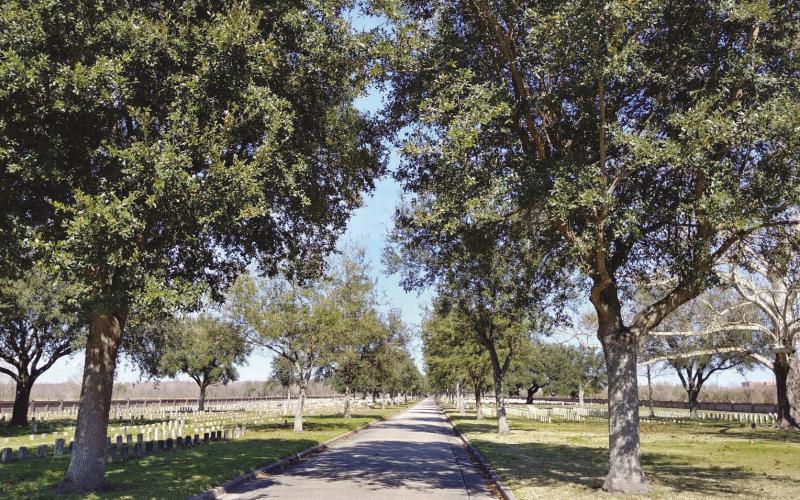 History in our backyard, which can be seen in places like the Chalmette National Cemetery.