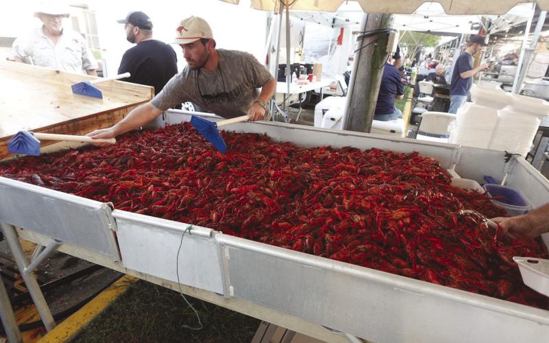 St. Bernard Hosts 51st Annual Crawfish Festival