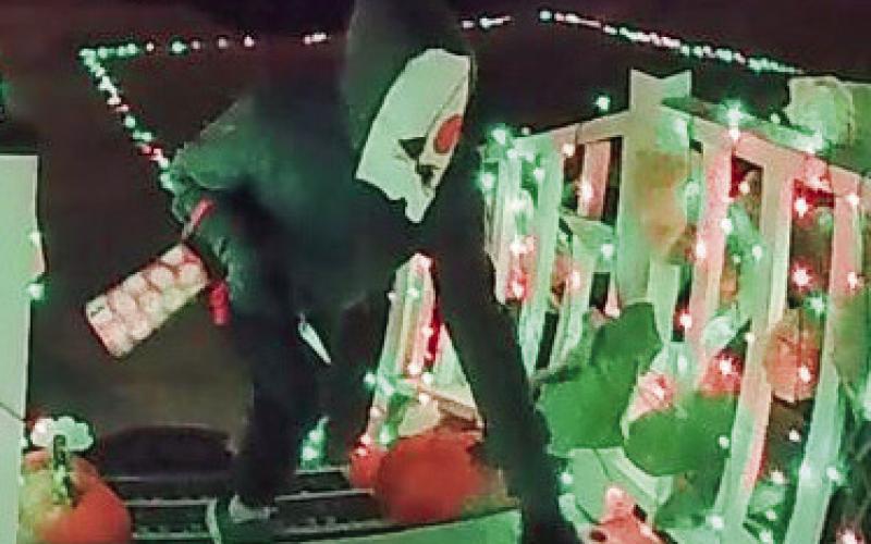 SBSO Seeking to Identify &amp; Locate Suspect in Vandalism Case
