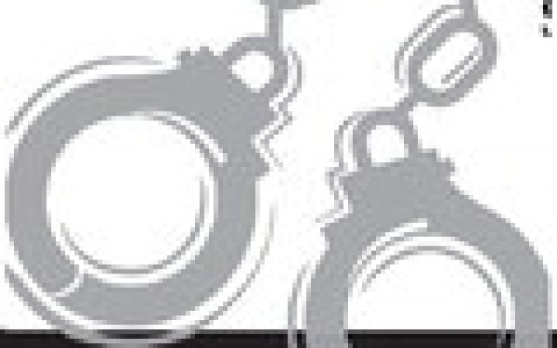 Alt Text for Image