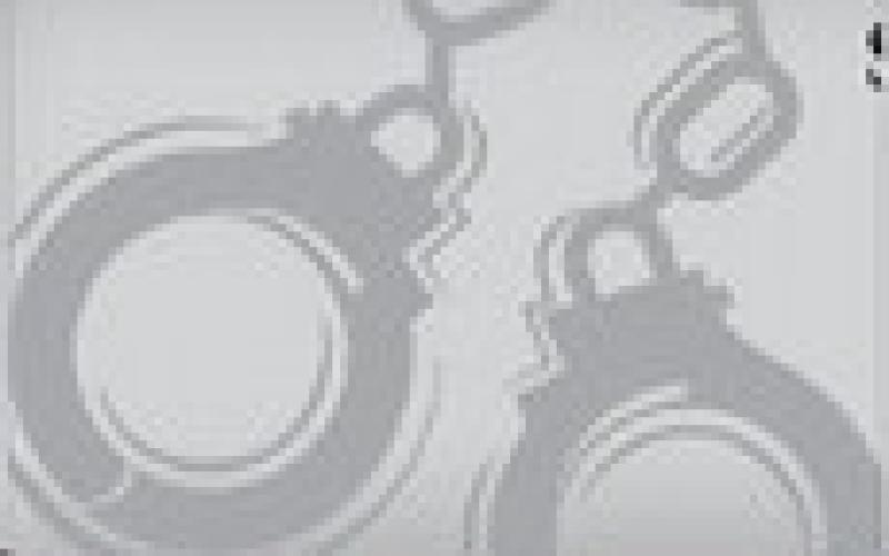 Alt Text for Image