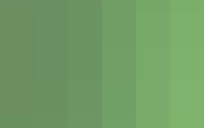 Alt Text for Image