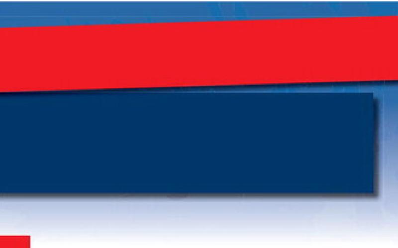 Alt Text for Image