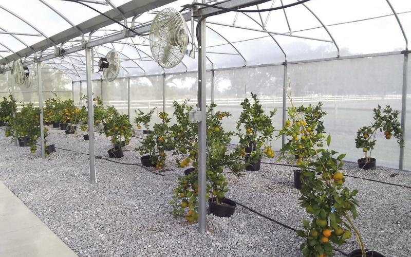 The Meraux Foundation constructed a screened citrus facility at Docville Farm, and is dedicated to educational and cultural purposes.