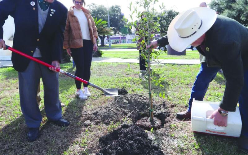 Tony Calabresi at the Liberty Tree planting. Photo by Tony Peralta
