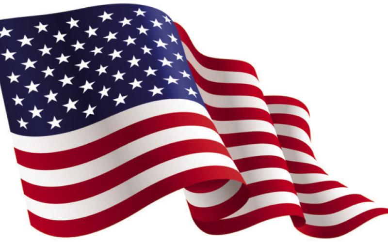 Alt Text for Image