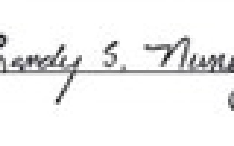 Alt Text for Image