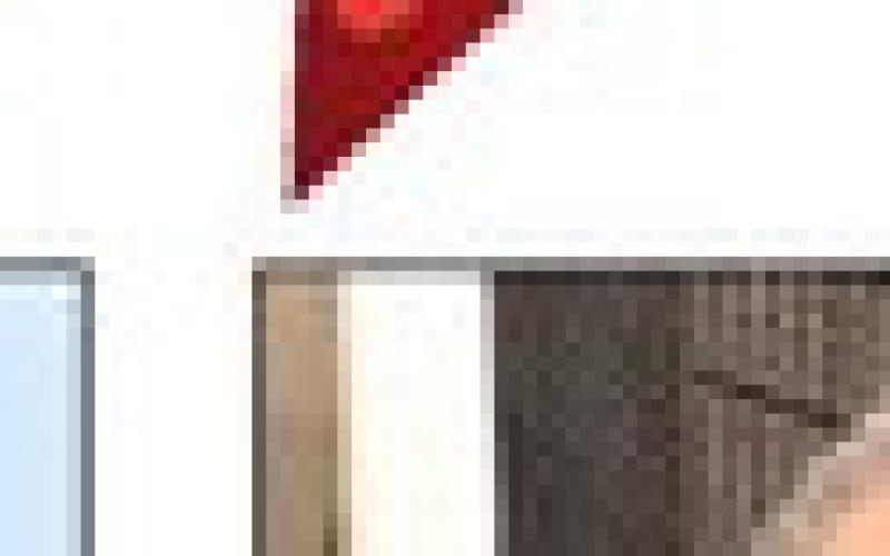 Alt Text for Image