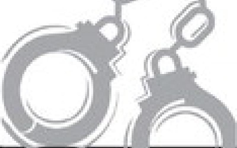 Alt Text for Image