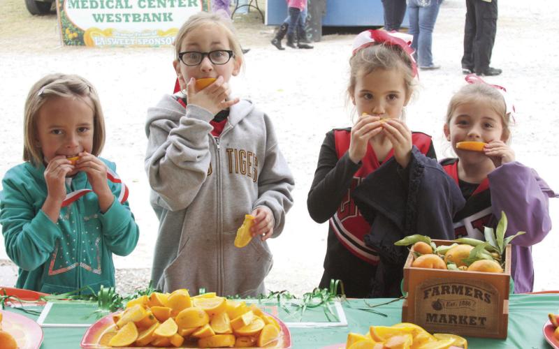 There's fun for all ages at the Orange Festival. Orange you going to be there?