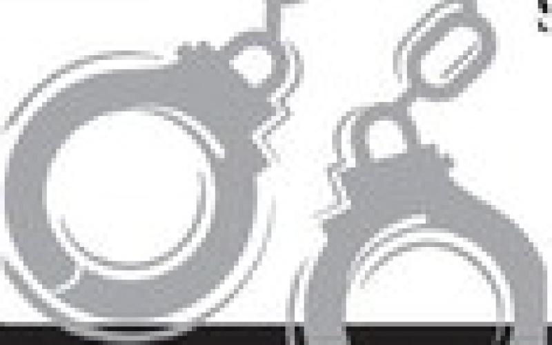 Alt Text for Image