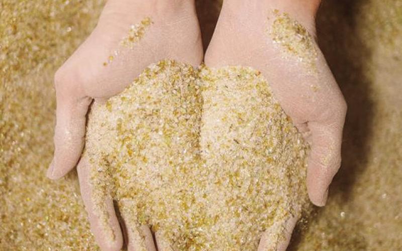 Glass Half Full recycles glass “waste” into sand and glass cullet for coastal restoration and other uses.