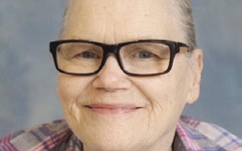 Theresa Ann Johnson Doty
