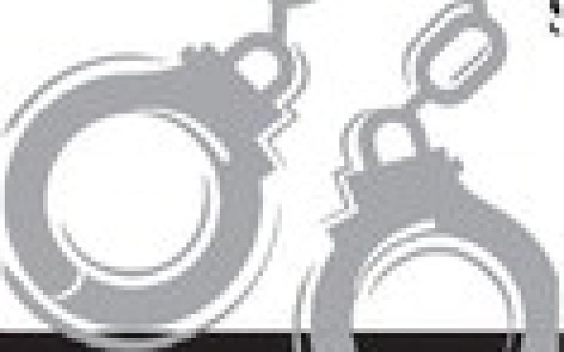 Alt Text for Image
