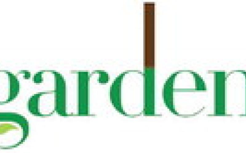 Alt Text for Image