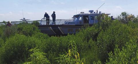 SBSO Marine Division Assists with CHS 4-H Mangrove Project
