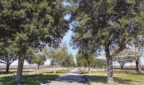 History in our backyard, which can be seen in places like the Chalmette National Cemetery.