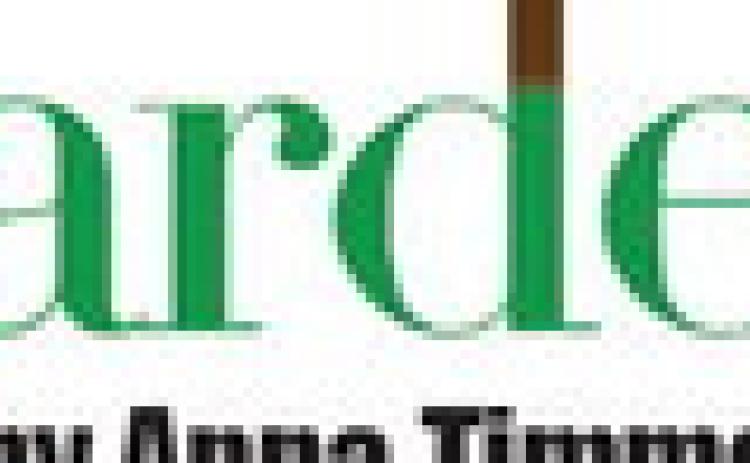 Alt Text for Image