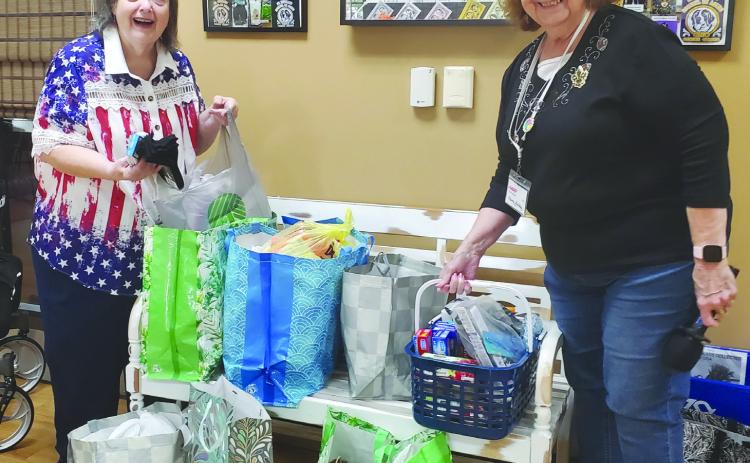 On Saturday, August 23, 2025 at Pakenham AARP 3926 monthly meeting, members participated in the donations to the Homeless Veterans Stand Down program to be held at the New Orleans VA Hospital. Shown in the picture is Leona Galley, President and Sandra Reuther, VFW Auxiliary 5153 member and VFW Auxiliary Deputy to the V.A.