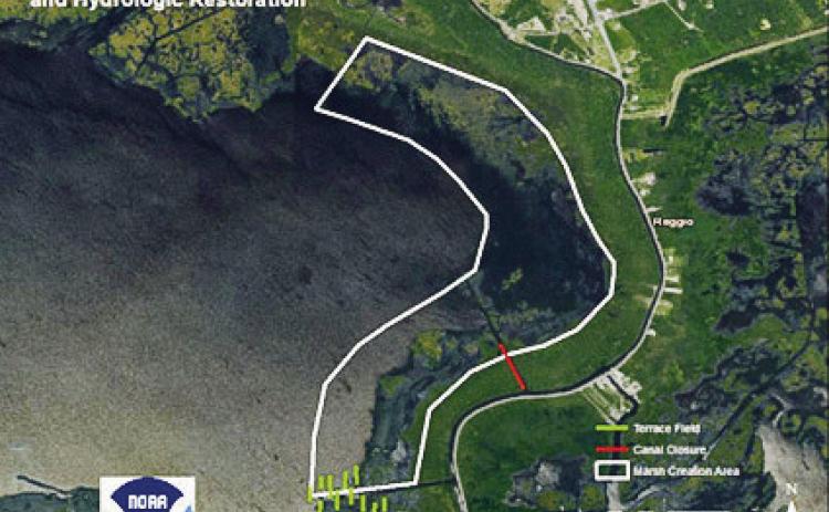 Three St. Bernard Coastal Projects Advance in CWPRA Funding Process