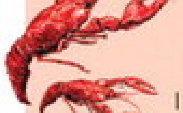 Alt Text for Image