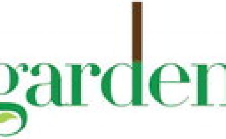 Alt Text for Image