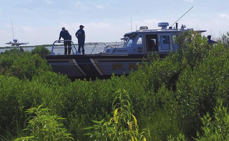 SBSO Marine Division Assists with CHS 4-H Mangrove Project