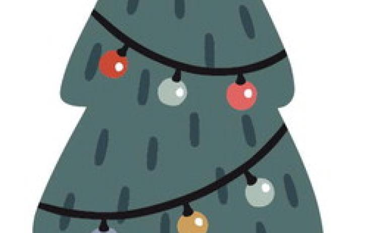Christmas Tree Care & Selection