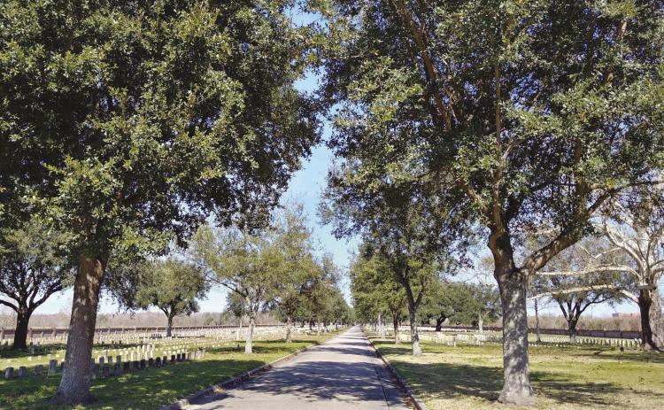 History in our backyard, which can be seen in places like the Chalmette National Cemetery.