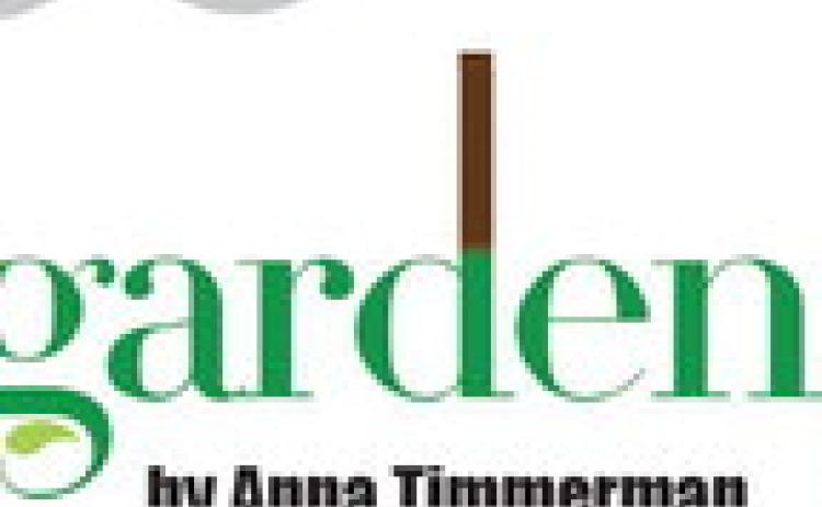 Alt Text for Image