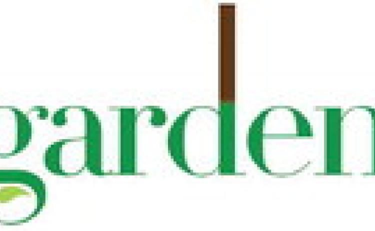 Alt Text for Image